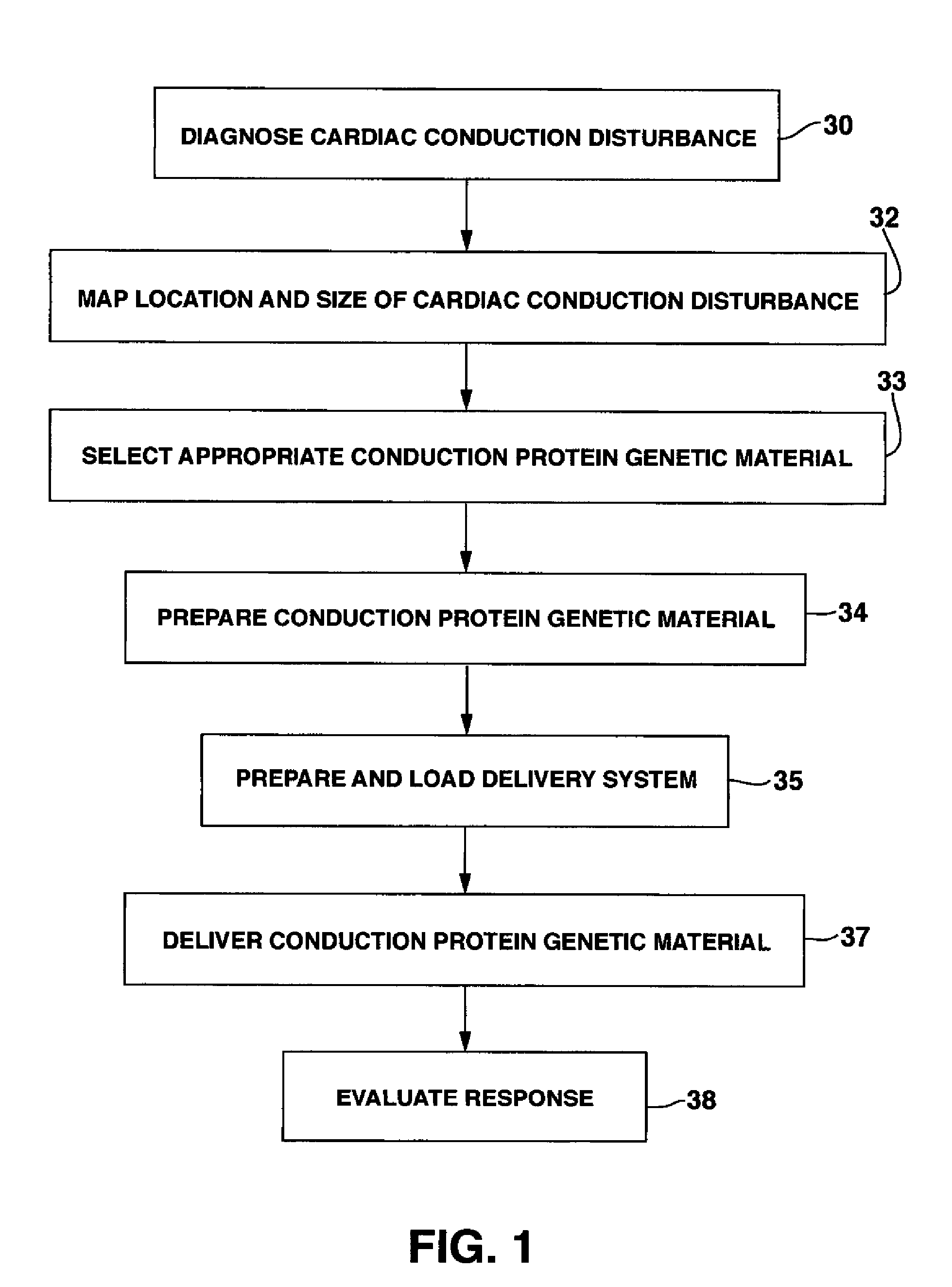 System and method for genetically treating cardiac conduction disturbances