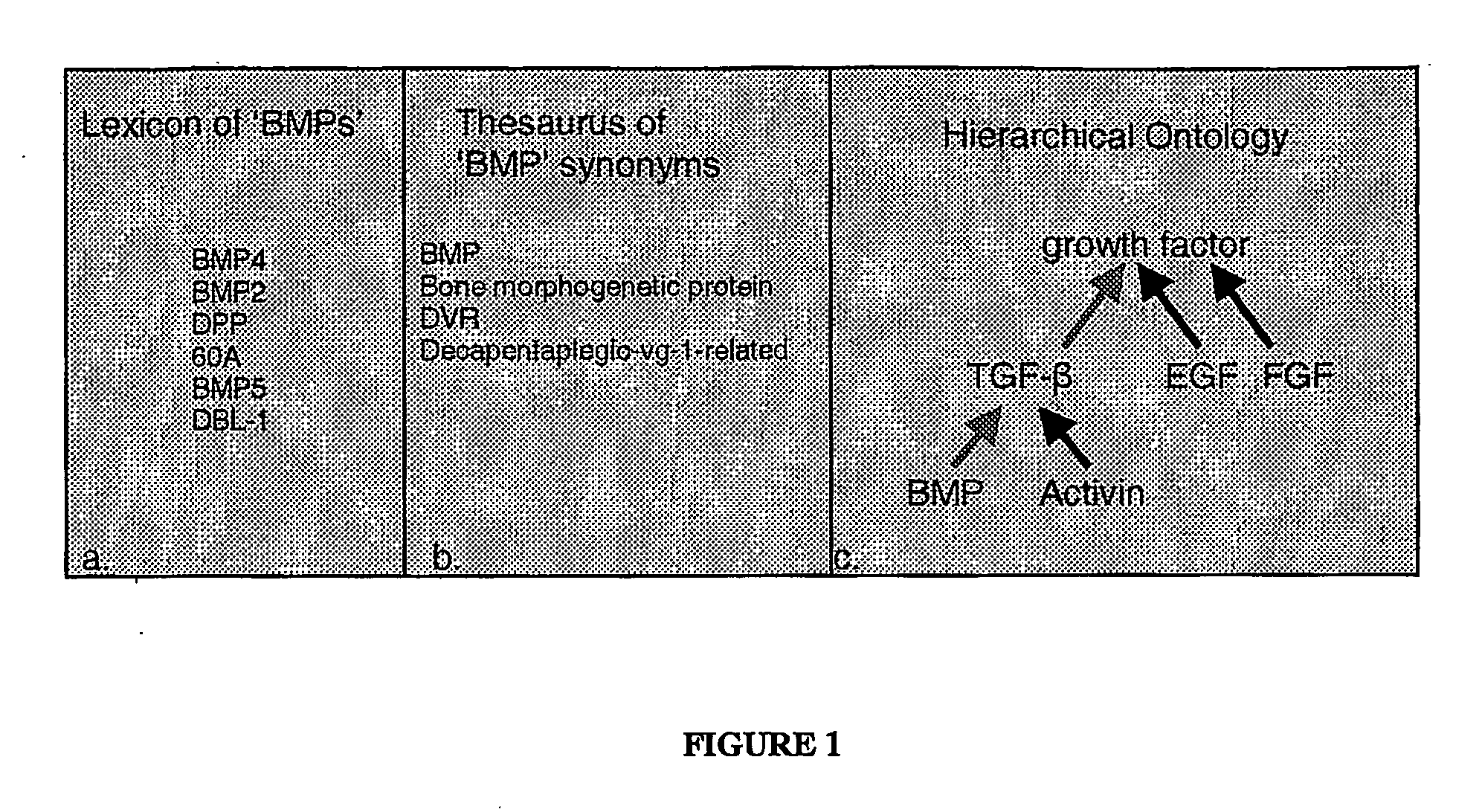 Methods of selection, reporting and analysis of genetic markers using borad-based genetic profiling applications