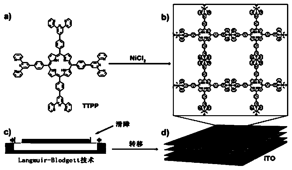 Preparation method and application of polypyridyl functional group modified porphyrin TTPP