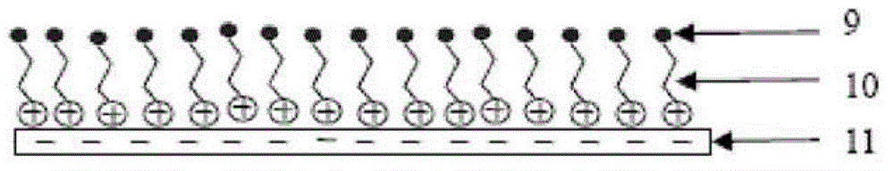 A drug coating containing polyelectrolyte and its preparation method