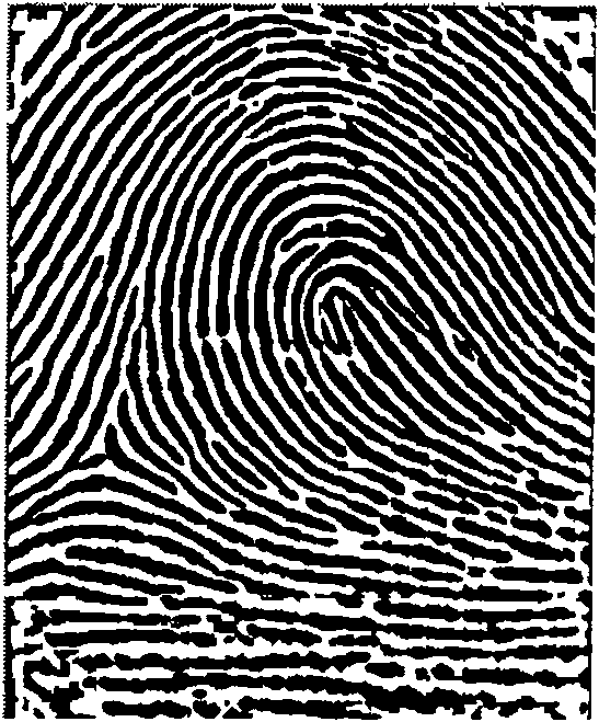 Direction filtering reinforcement method of fingerprint image