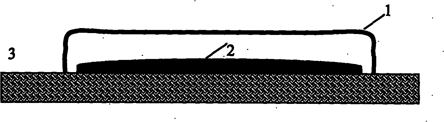 In-situ biological purification method of odorous gas