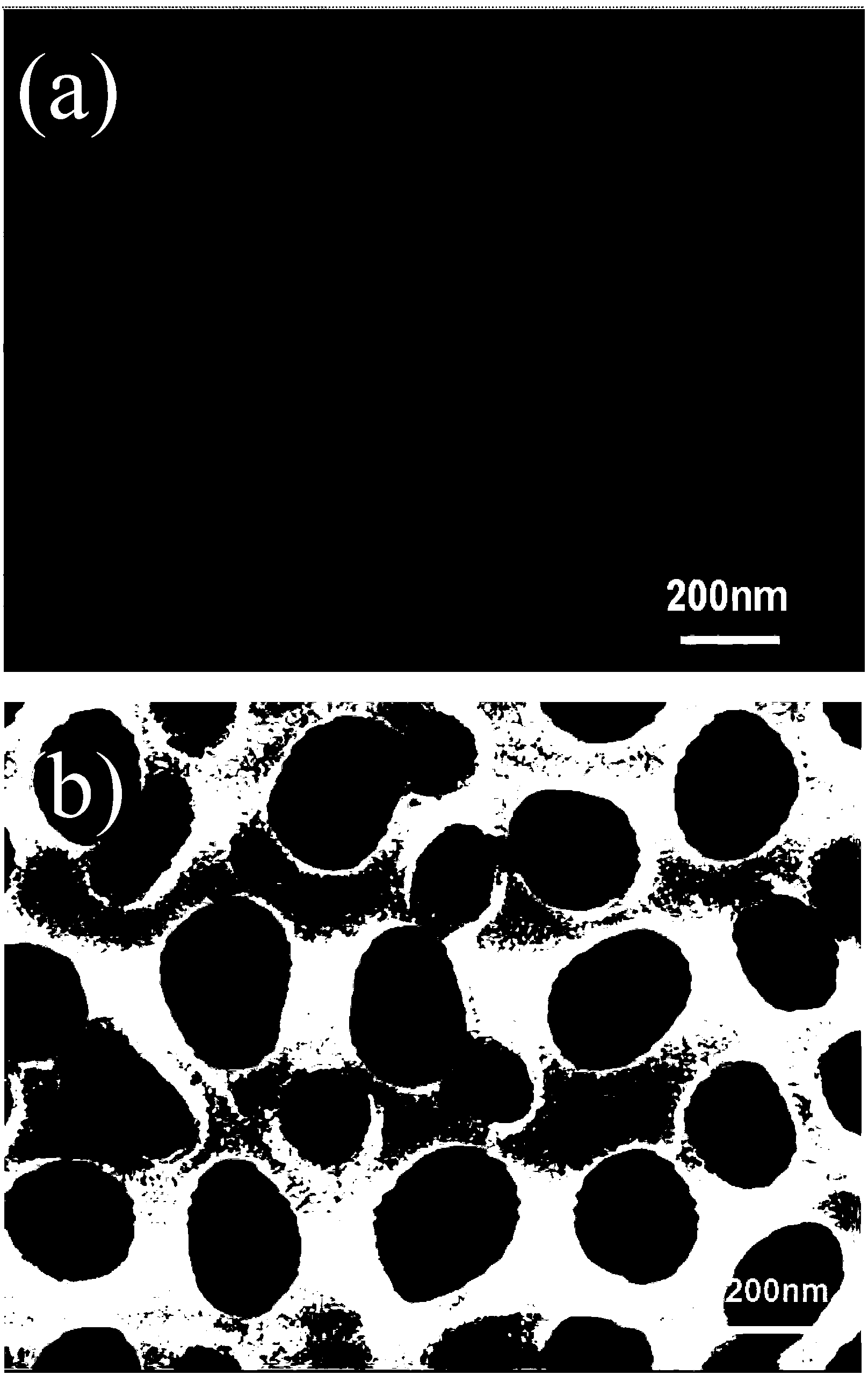 Preparation method for CaO-SiO2/PAA composite film material having biological activity