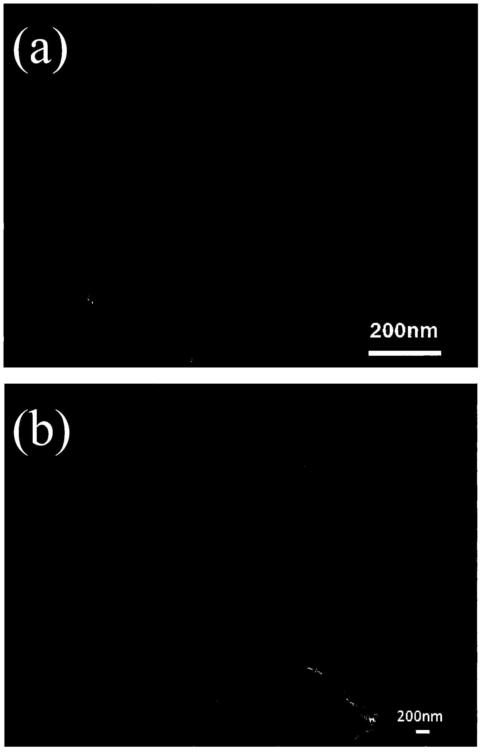 Preparation method for CaO-SiO2/PAA composite film material having biological activity