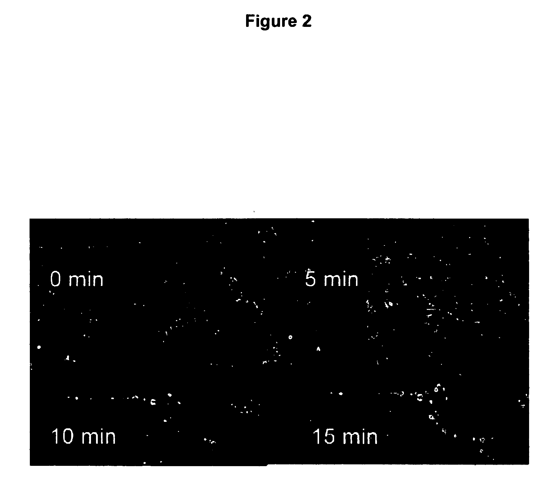 Methods and compositions for delivering polynucleotides