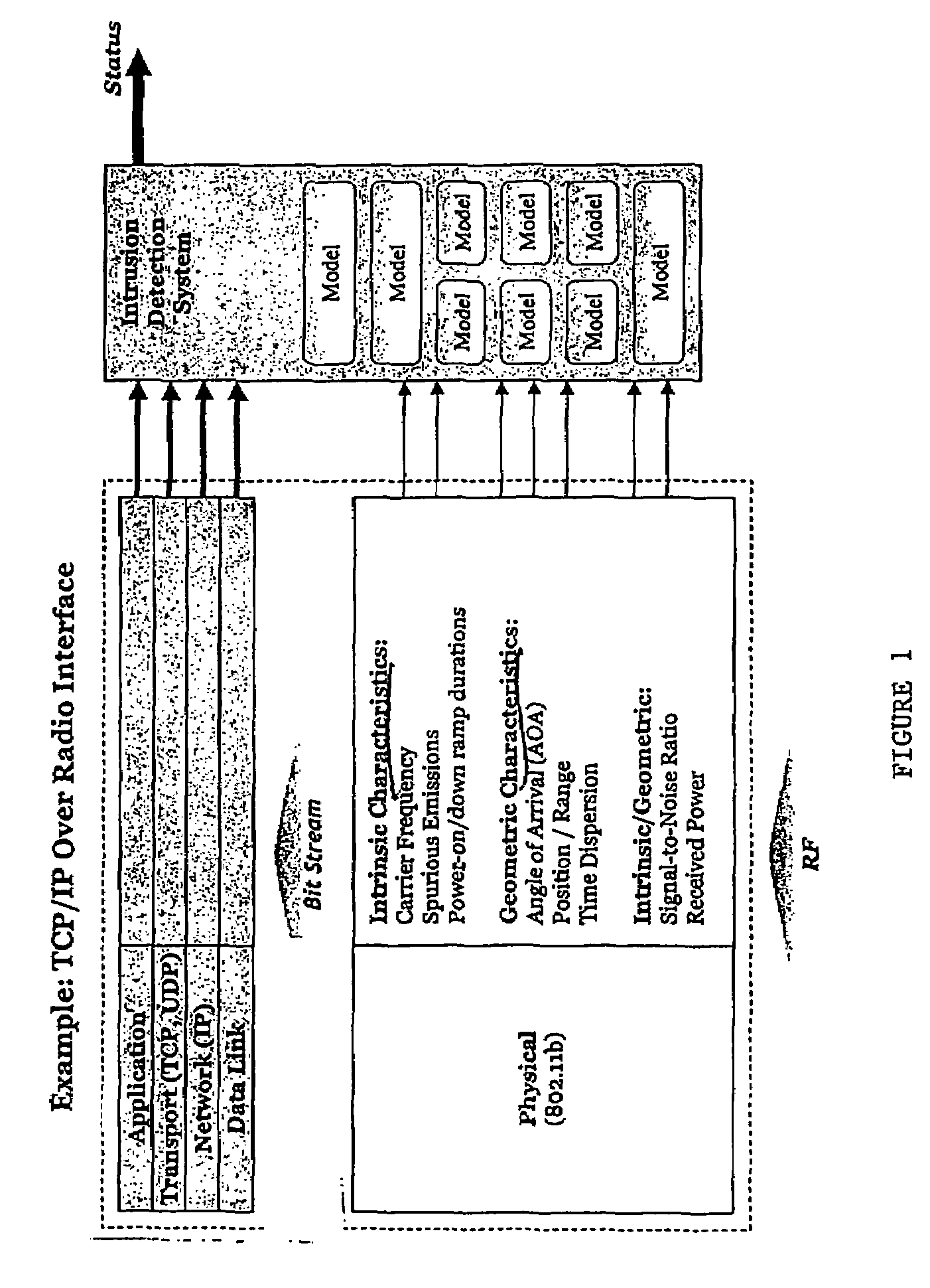 Intrusion detection system for wireless networks