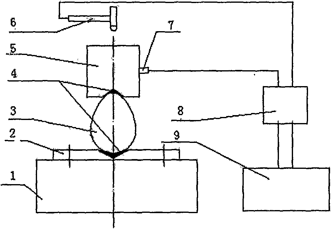 Method for measuring rigidity of poultry eggs