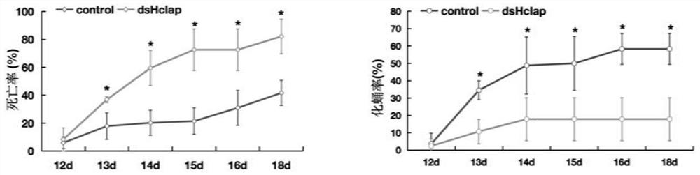 Hyphantria cunea Iap gene dsRNA, and bacterial expression liquid and application thereof