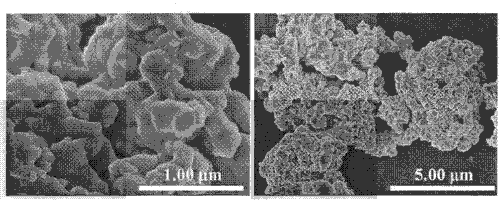 Elemental bismuth catalyst for electrochemical reduction of carbon dioxide as well as preparation and application of elemental bismuth catalyst