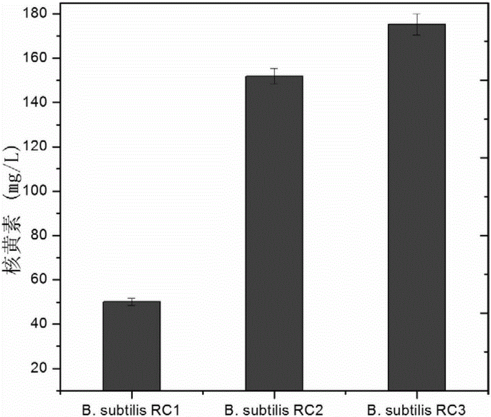 Two-component regulatory system mutant gene yvrh of Bacillus subtilis and its application