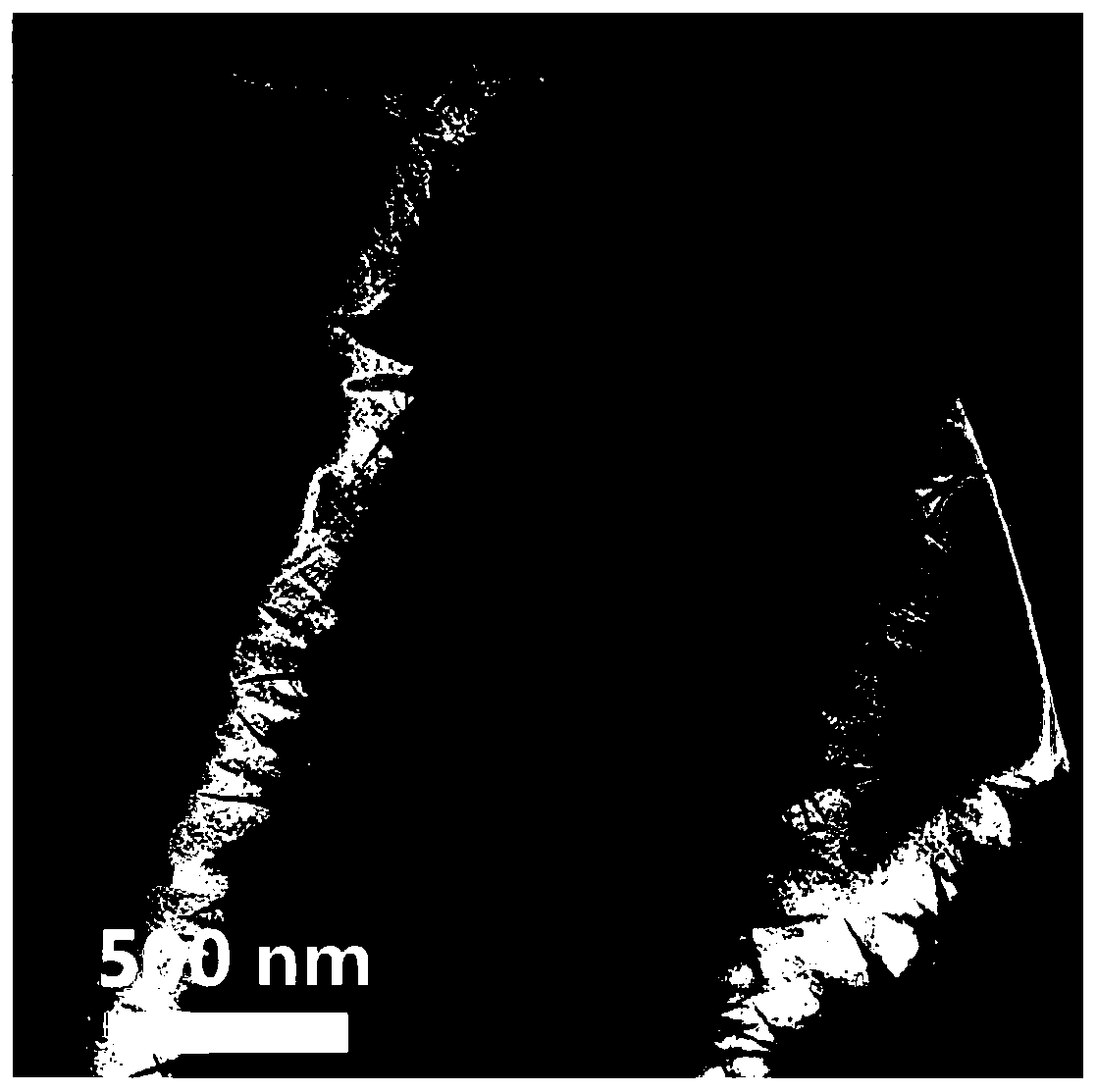 Tubular TiO2/carbon lithium ion battery negative electrode material and preparation method and application thereof