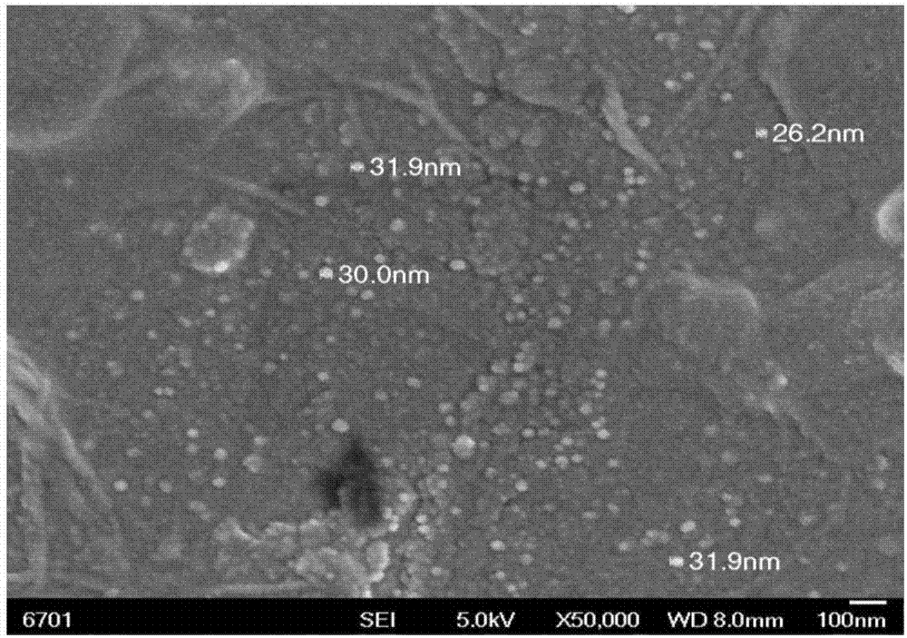 Mineralized foot-and-mouth disease virus like particle, preparation method and application thereof