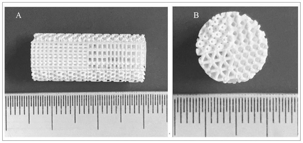 3D printing-based calcium phosphate ceramic high-throughput screening model and preparation method and application thereof