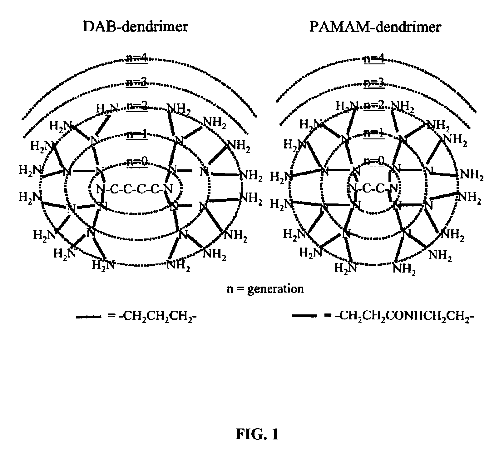 Methods for functional kidney imaging using small dendrimer contrast agents