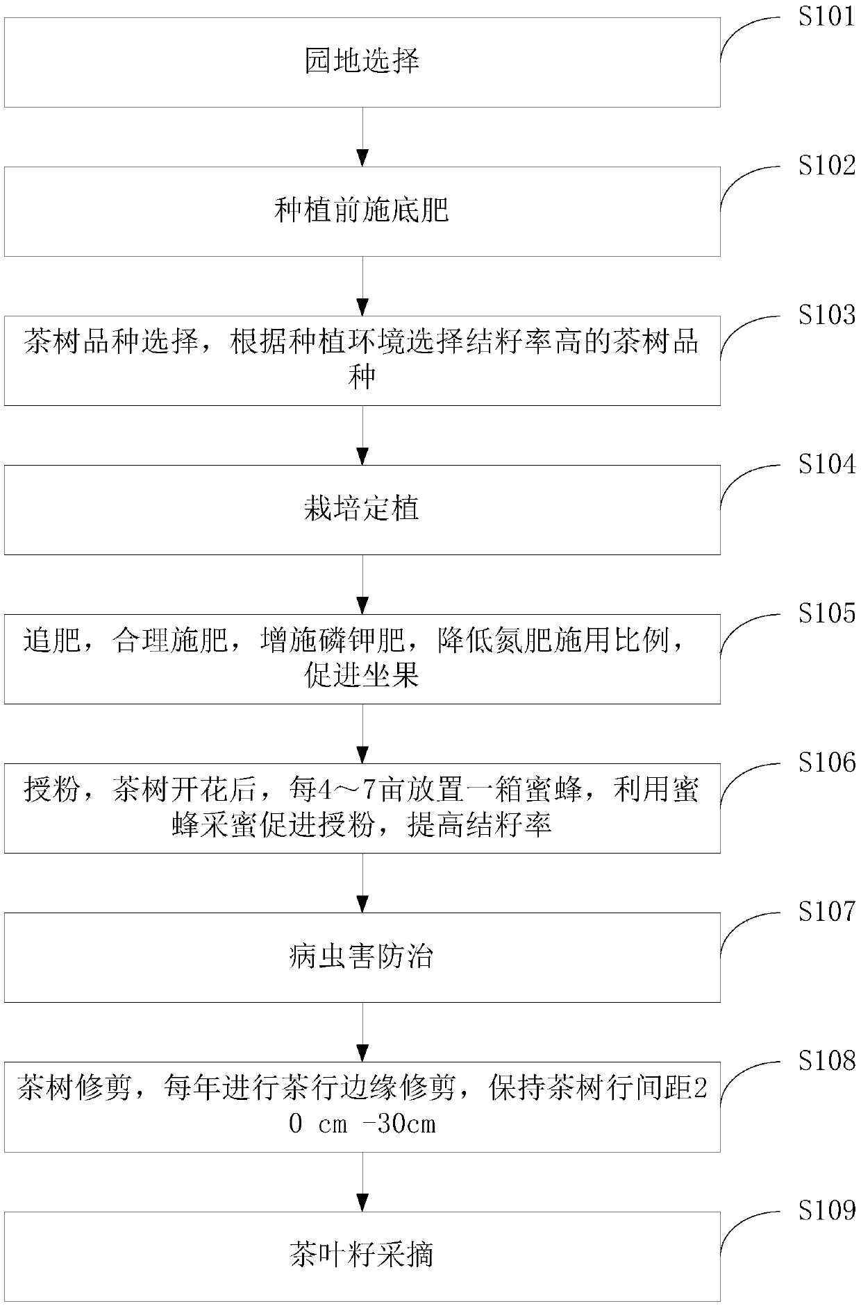 Tea tree cultivation method for improving tea seed yield based on neutron detectors and water collecting devices