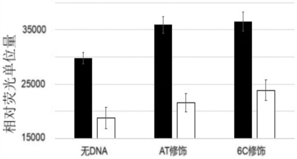 Modified crrna fragment and African swine fever virus kit