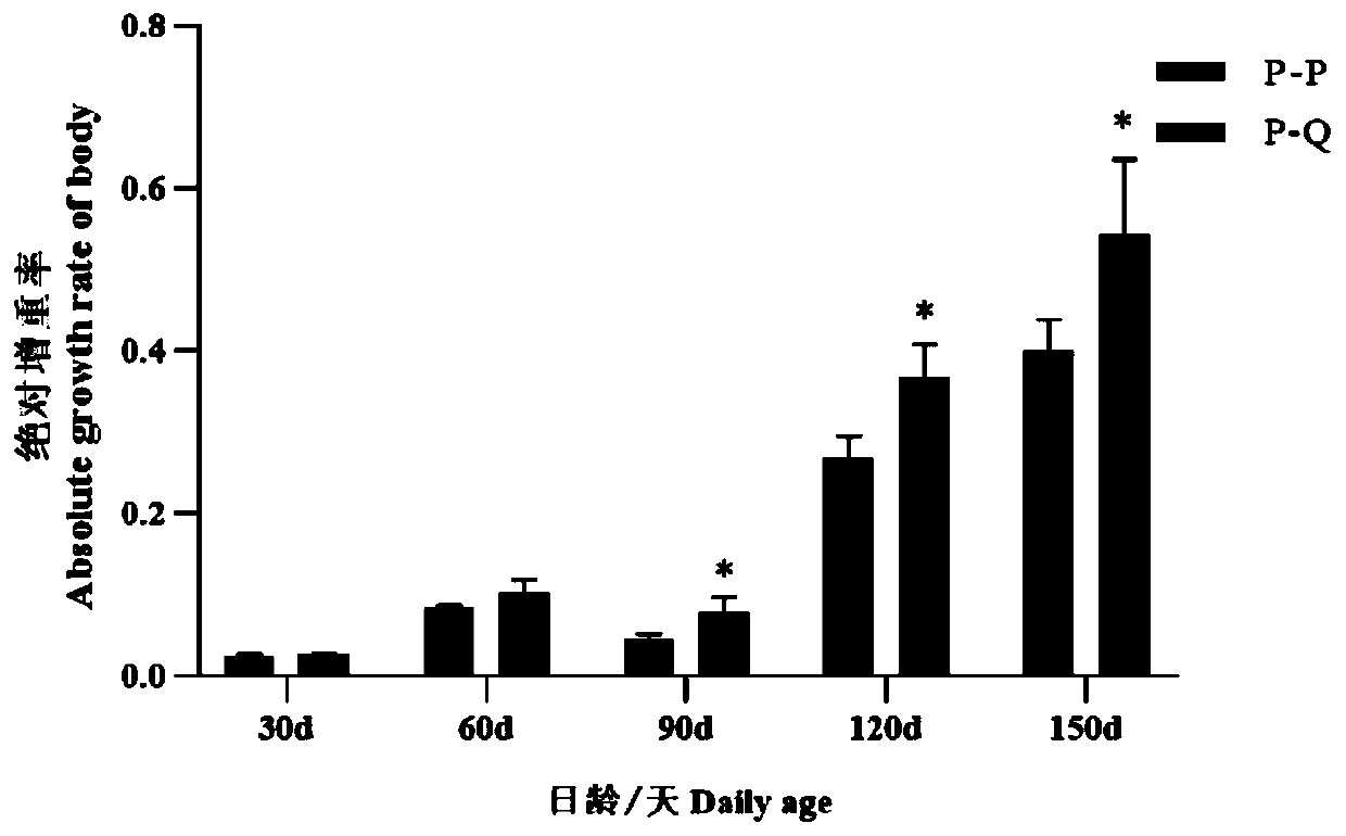 Gynogenesis method for carassius auratus var. pengsenensis thelykaryon induced by culter alburnus basilewsky