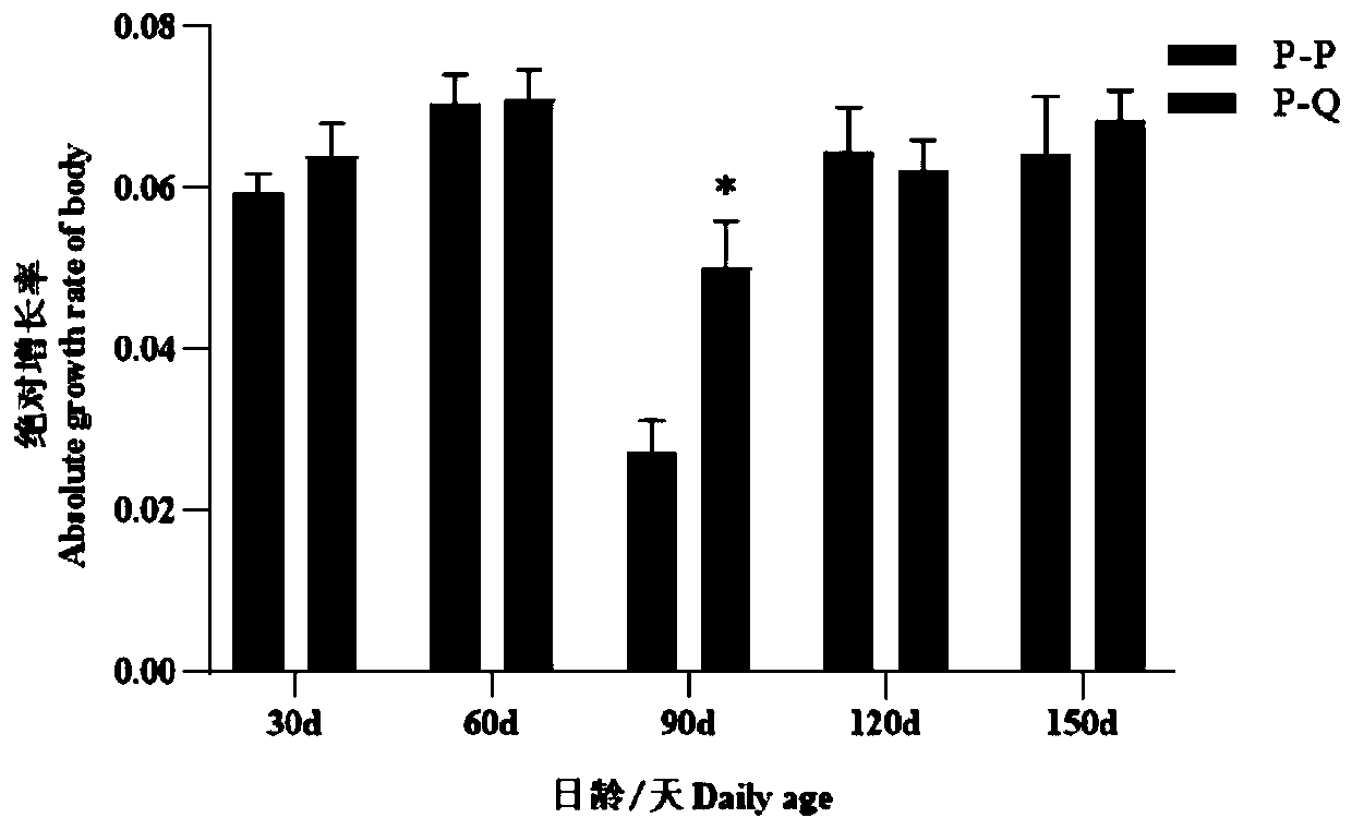 Gynogenesis method for carassius auratus var. pengsenensis thelykaryon induced by culter alburnus basilewsky