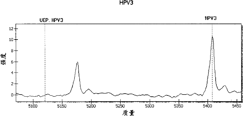 Primers and method for detecting and typing human papilloma viruses in esophagi