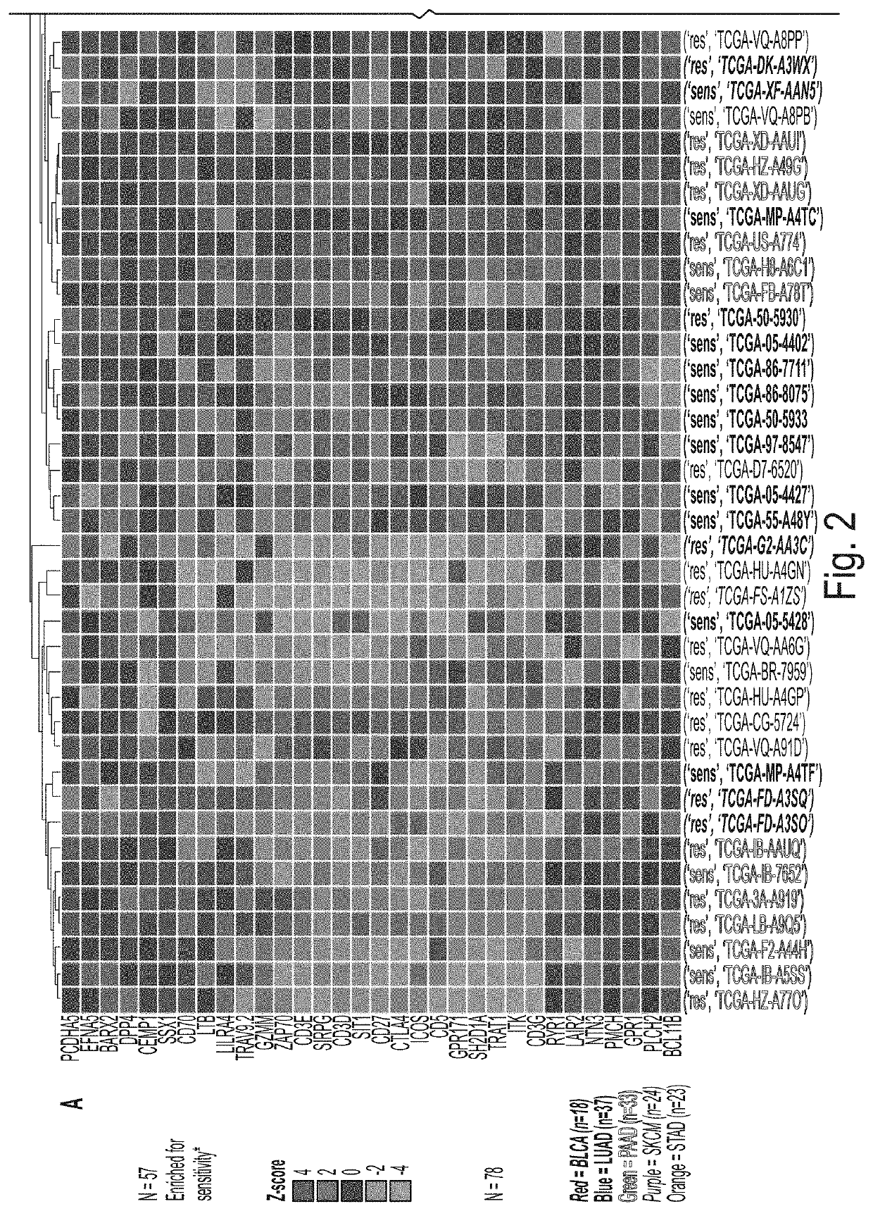 Immune Gene Expression Signature in Treg Enriched Tumor Samples