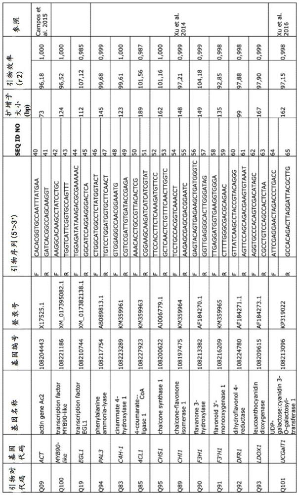 Anthocyanin biosynthesis in carrot plants