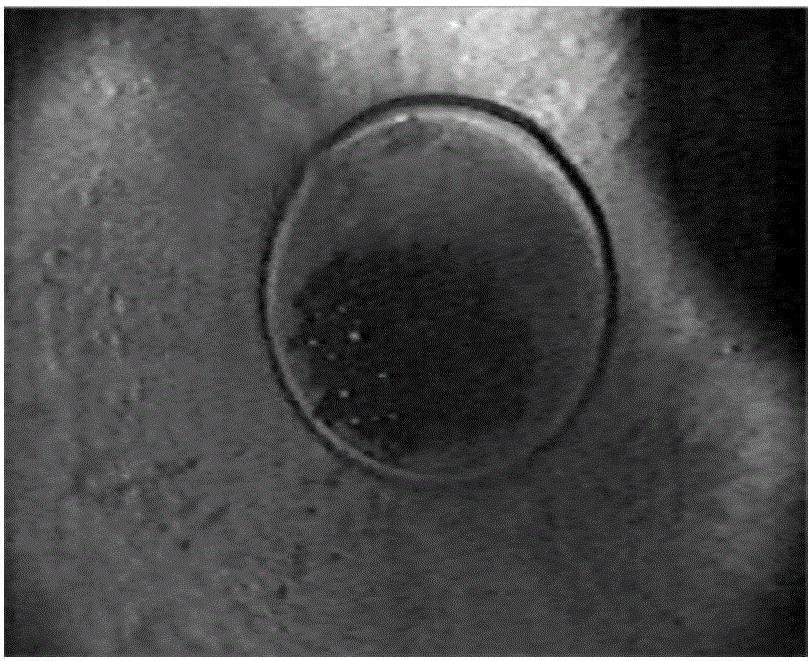 An edge detection method for oil well casing damage images based on grey relational analysis and zernike moment