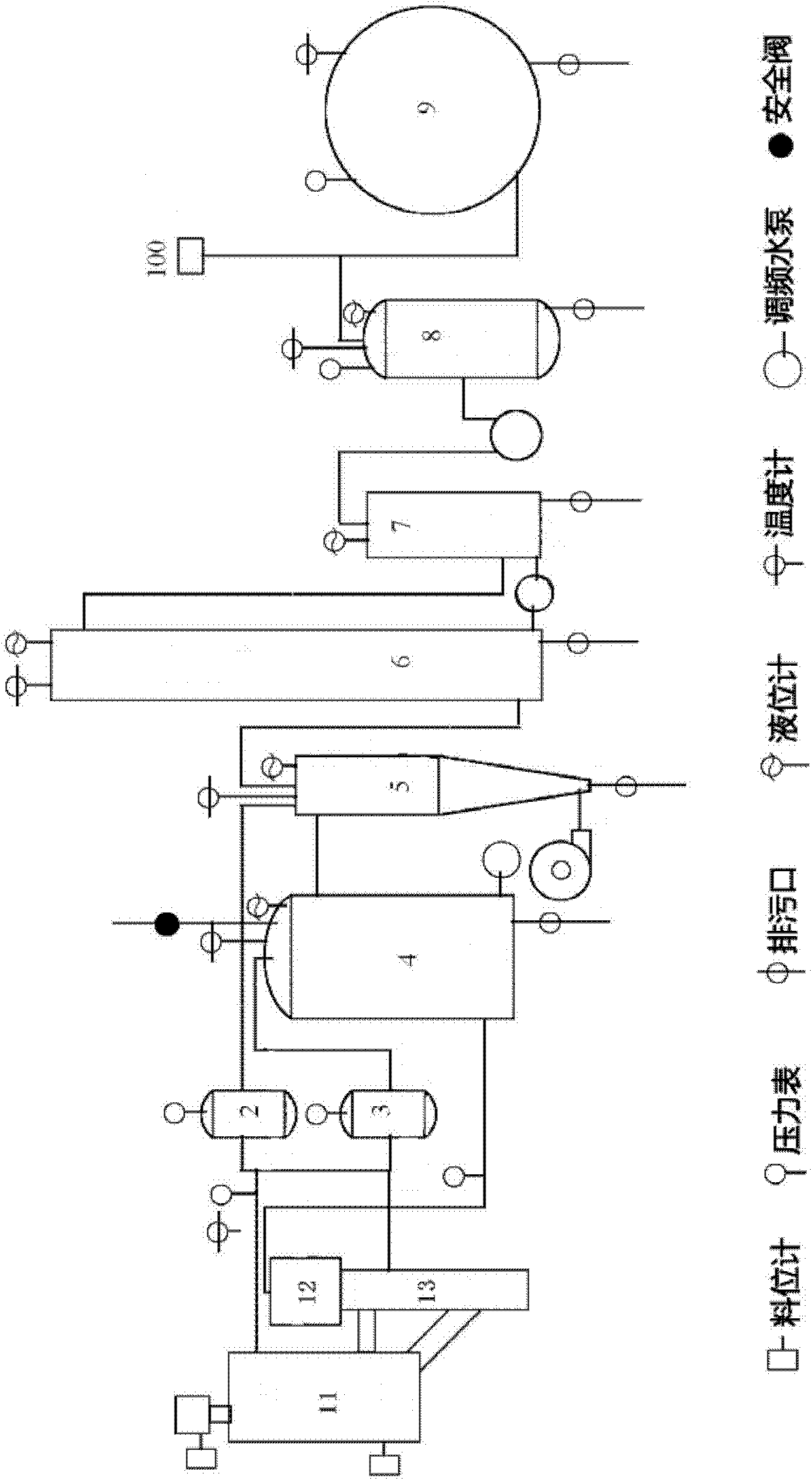 Plasma garbage gasification device and process