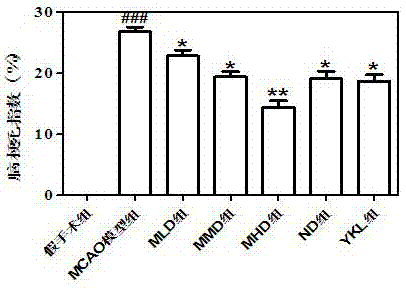 Muscone patch and preparation method and application thereof