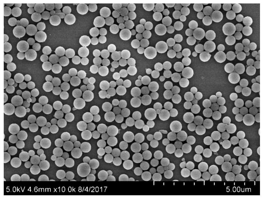 Tea polyphenol-based multifunctional nanocomposite and its preparation method and application