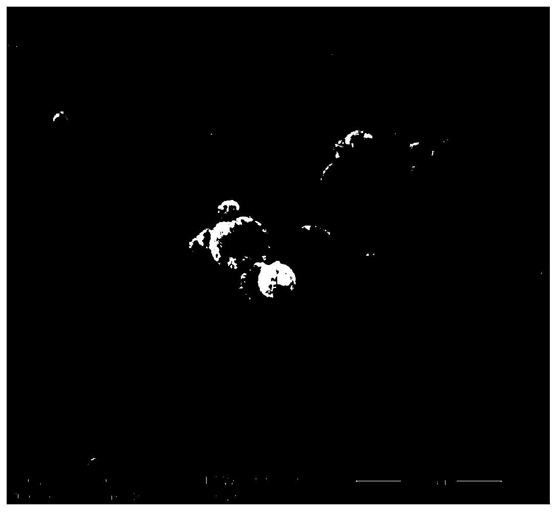 Preparation method of nanoscale ultra-pure silicon oxide microsphere powder