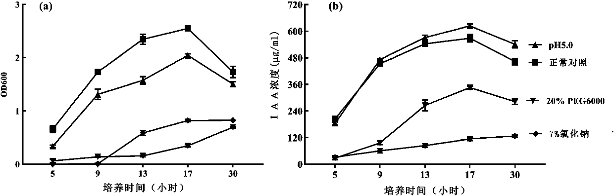 Astragalus membranaceus seed-dressing agent and method for promoting growth of astragalus membranaceus and accumulation of astragalus root flavonoids compounds of astragalus membranaceus seed-dressing agent
