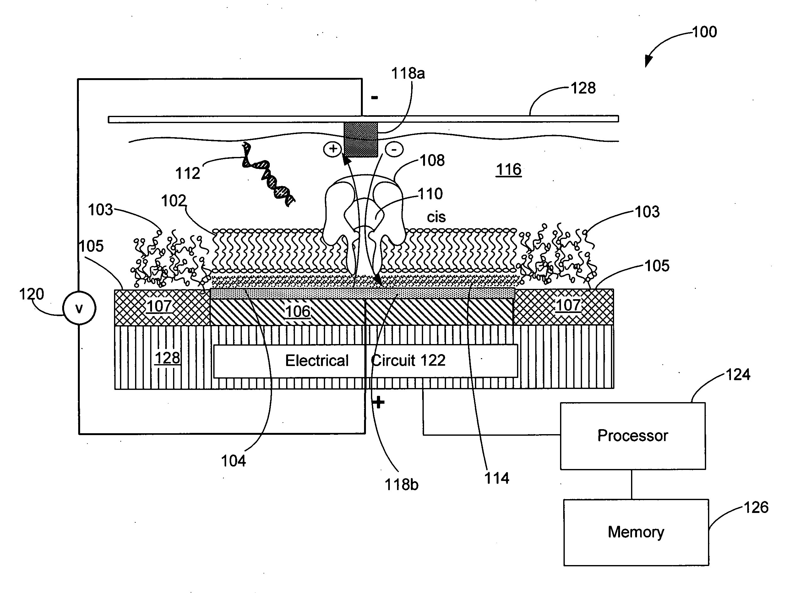 Systems and methods for assembling a lipid bilayer on a substantially planar solid surface
