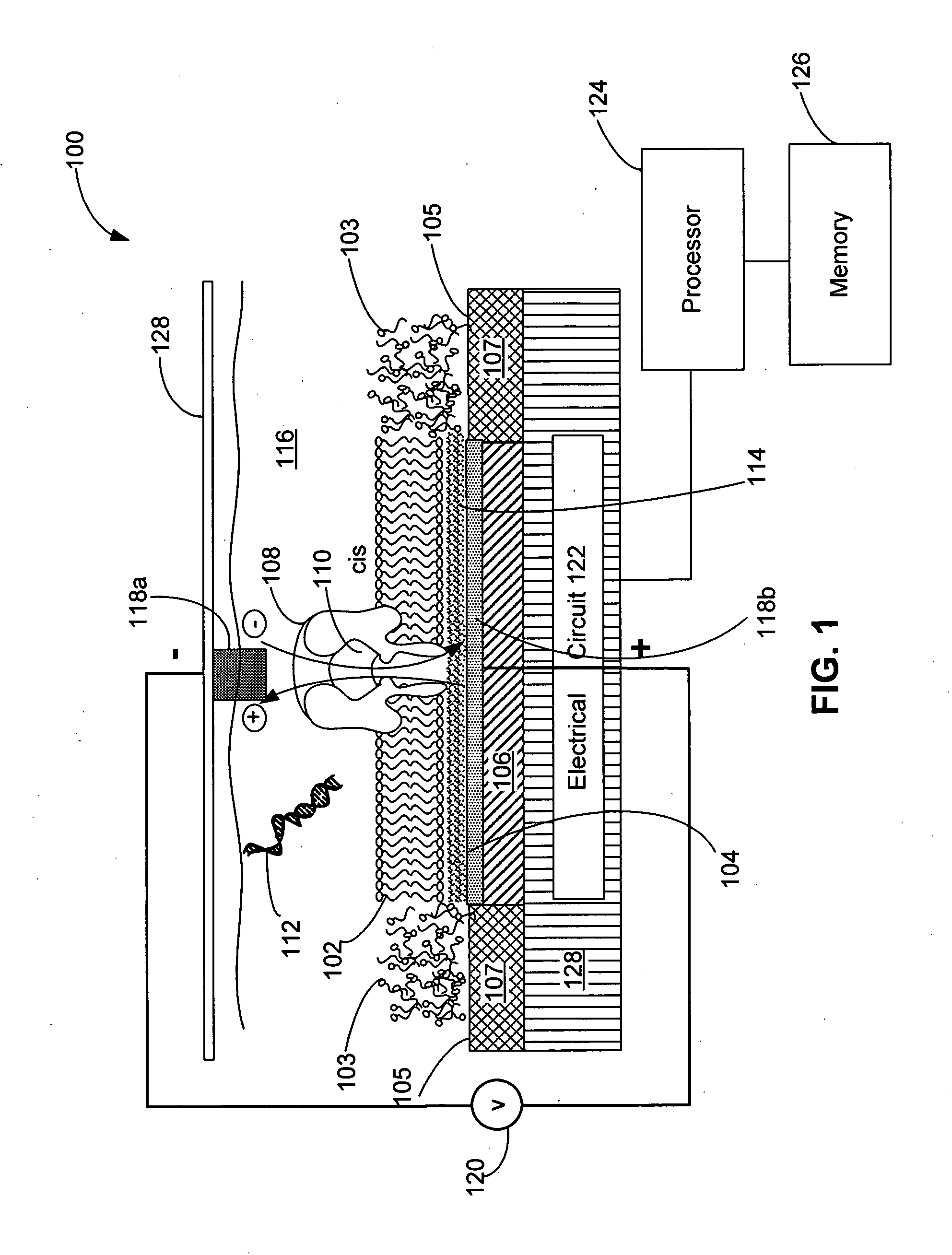 Systems and methods for assembling a lipid bilayer on a substantially planar solid surface