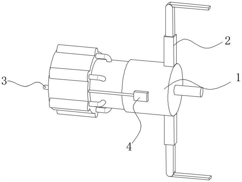 Nasal foreign body extractor for otolaryngology department nursing