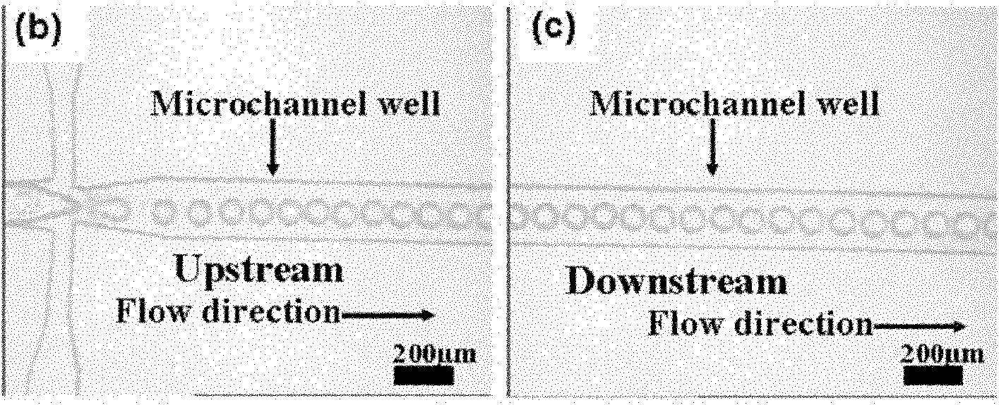 Method for preparing mono-disperse microemulsion, liposome and microsphere based on microfluidic technology