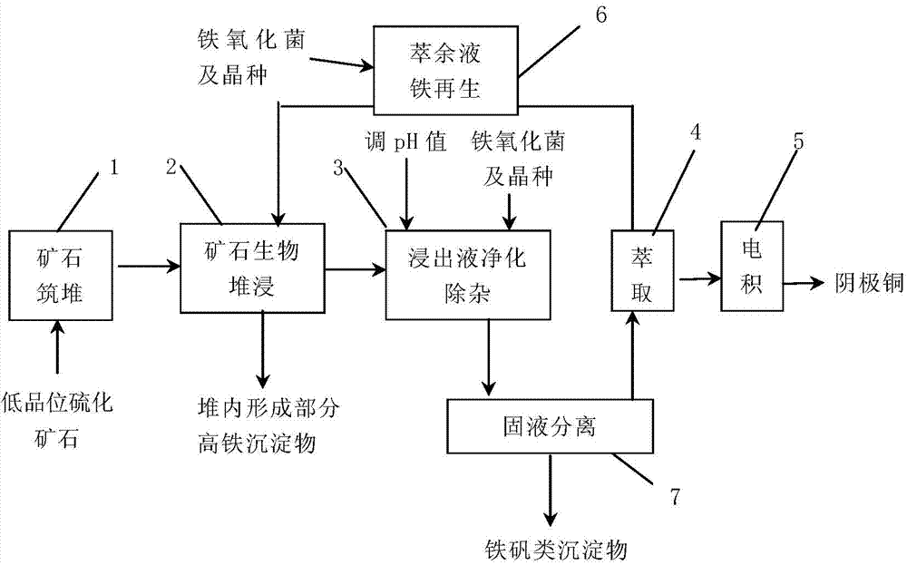 Iron balancing technology in low-grade sulfide ore biological heap leaching-leachate purification-extraction and separation process