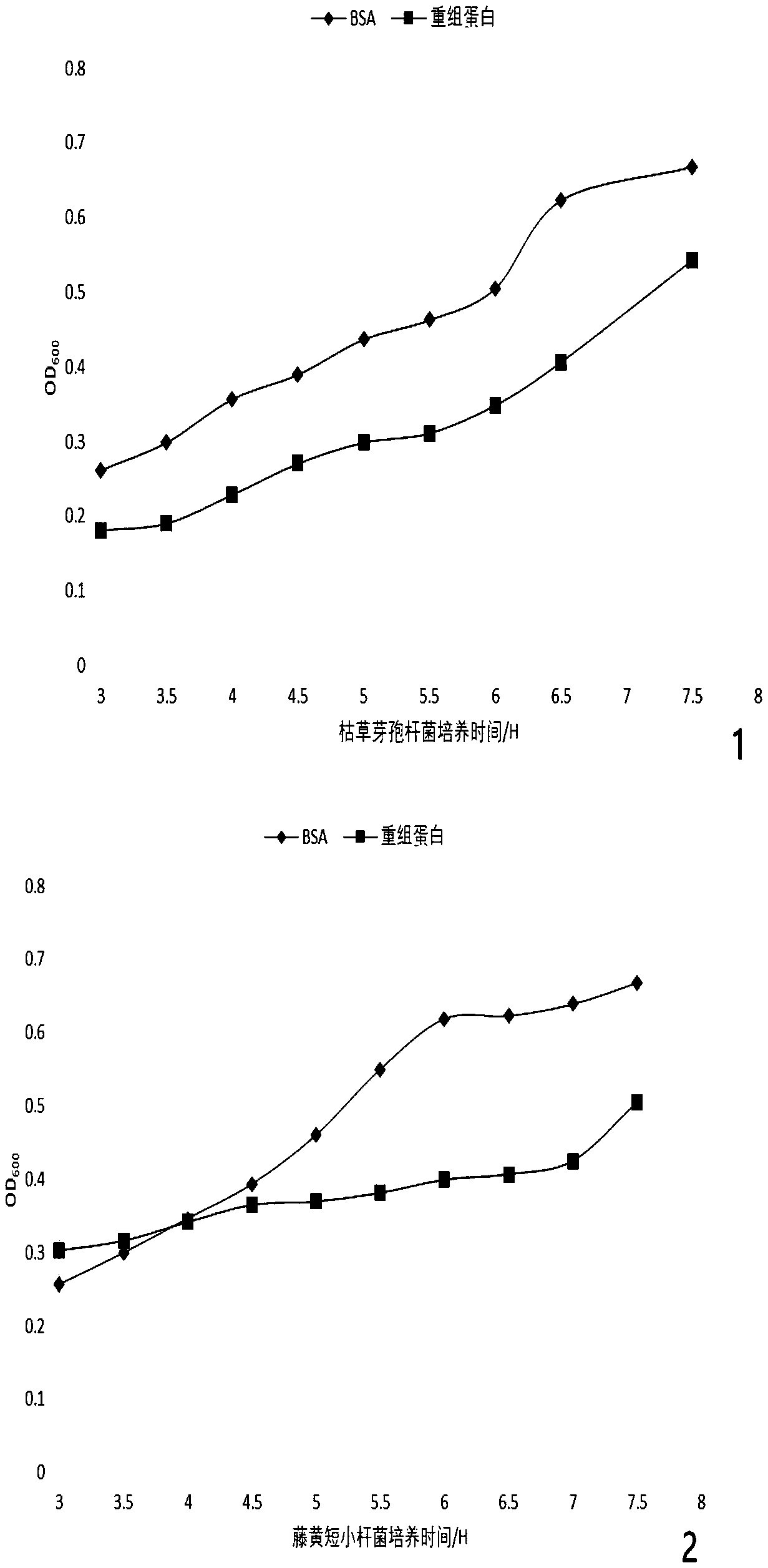 Apostichopus-japonicus glucan binding protein and preparation method and application thereof