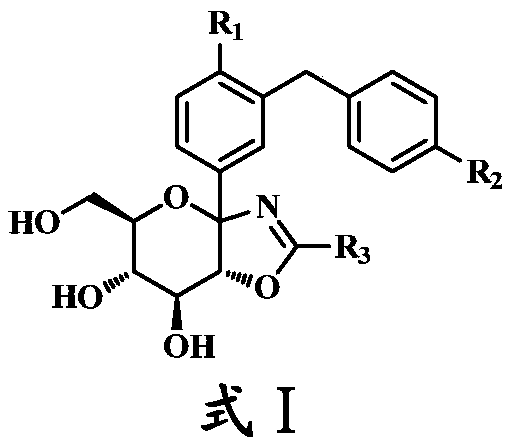Bicyclic derivatives of glucoside and its preparation method and use