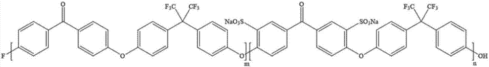 Sulfonated polyaryl ether ketone (SFPAEK) ion exchange membrane preparation method and application
