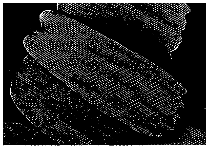 Method for performing complete-wing-surface high-fidelity large-area microstructure copying on lepidopterous insect wings