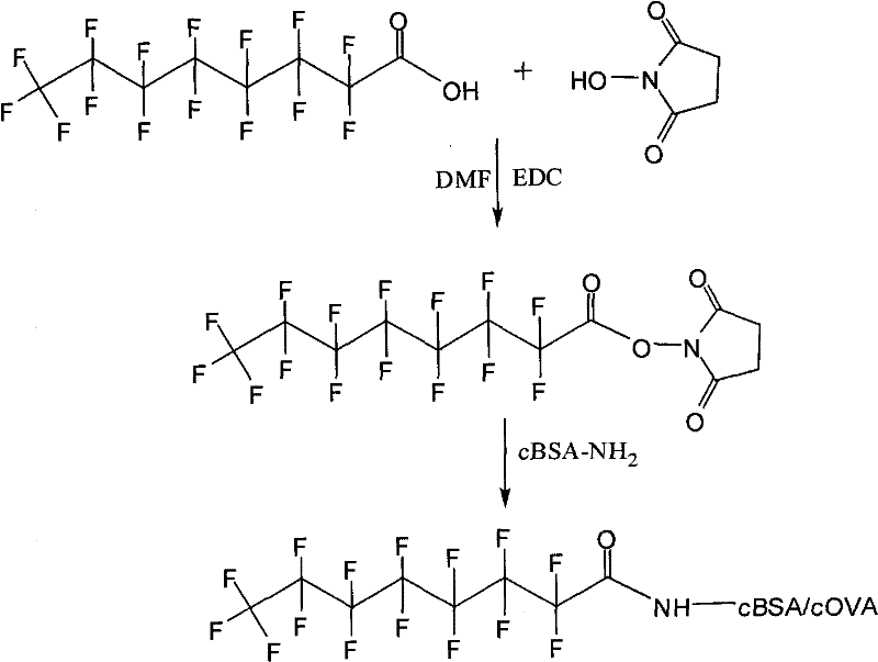 Preparation method of perfluorooctanoic acid artificial complete antigen