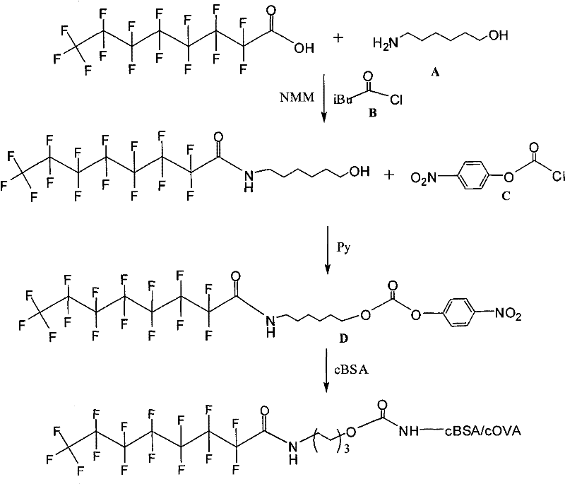 Preparation method of perfluorooctanoic acid artificial complete antigen