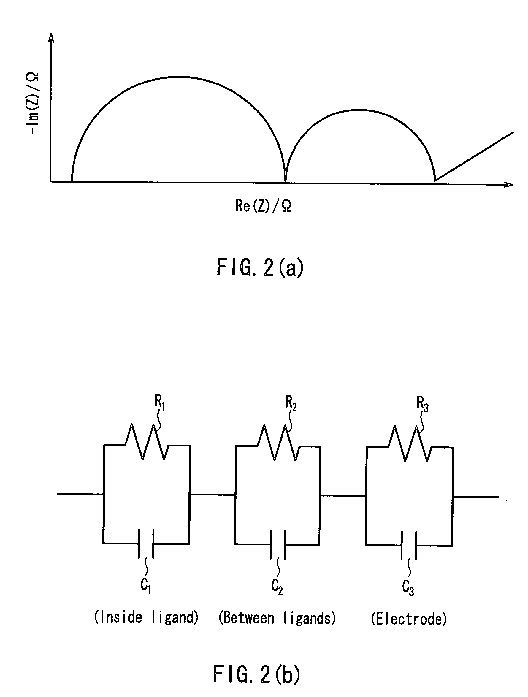Method of analyzing ligand in sample and apparatus for analyzing ligand in sample