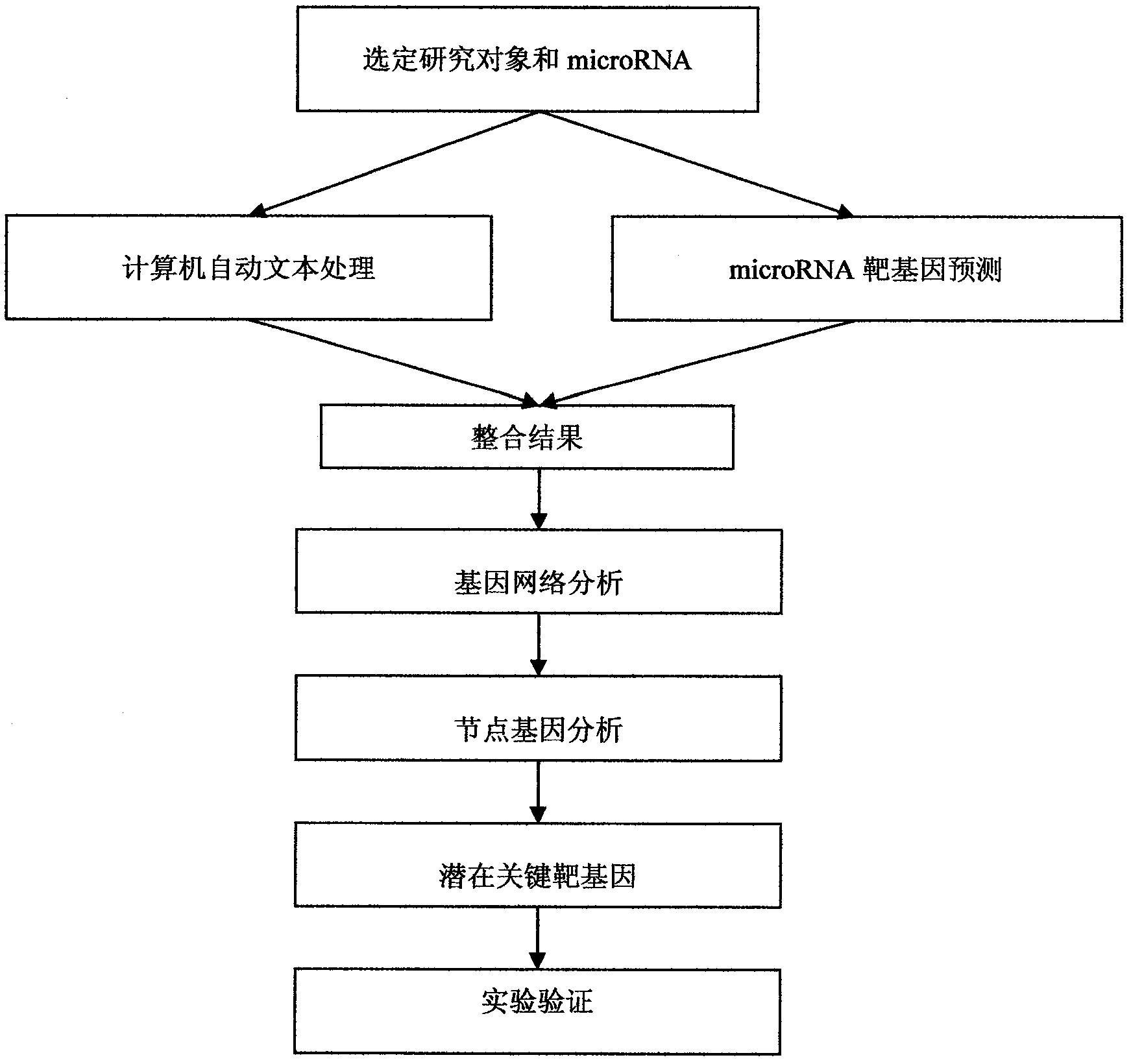 Method for screening micro ribonucleic acid (microRNA) target gene based on natural language processing system