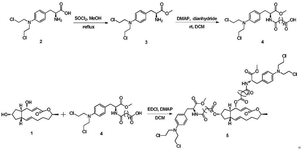4,7-position melphalan-like nitrogen mustard derivative of brefeldin a, its preparation method and use