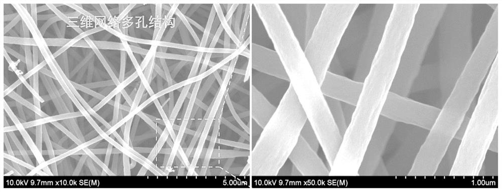Carbon nanofiber, diffusion layer, membrane electrode, fuel cell and its preparation method and application
