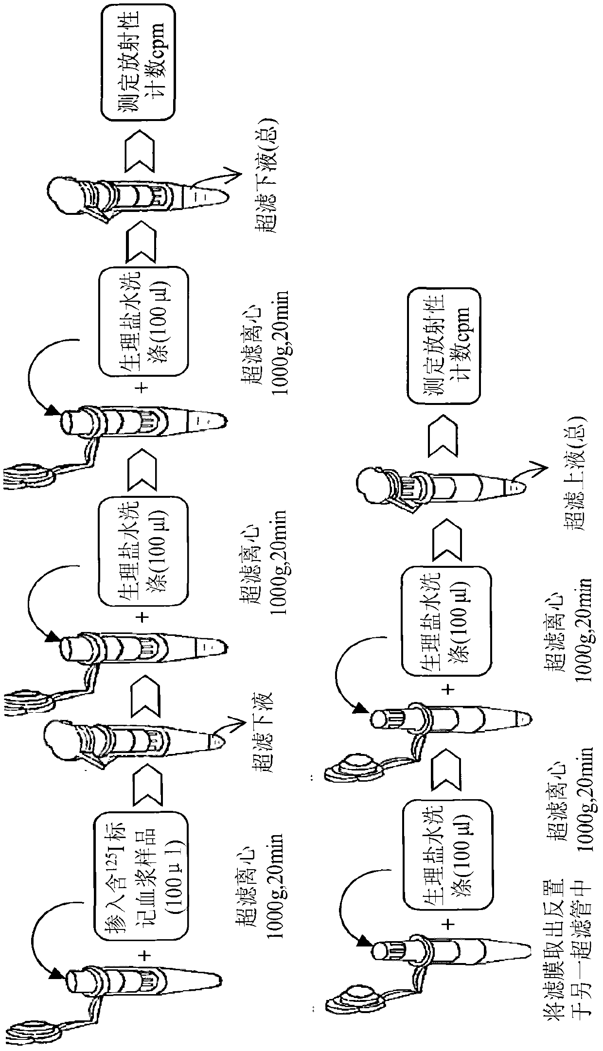 Method for detecting combination of polypeptide medicine and plasma proteins