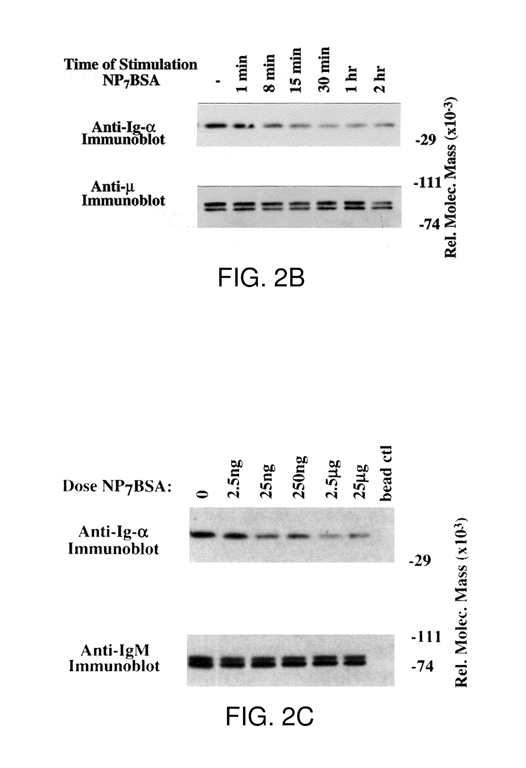 Product and method for treatment of conditions associated with receptor-desensitization