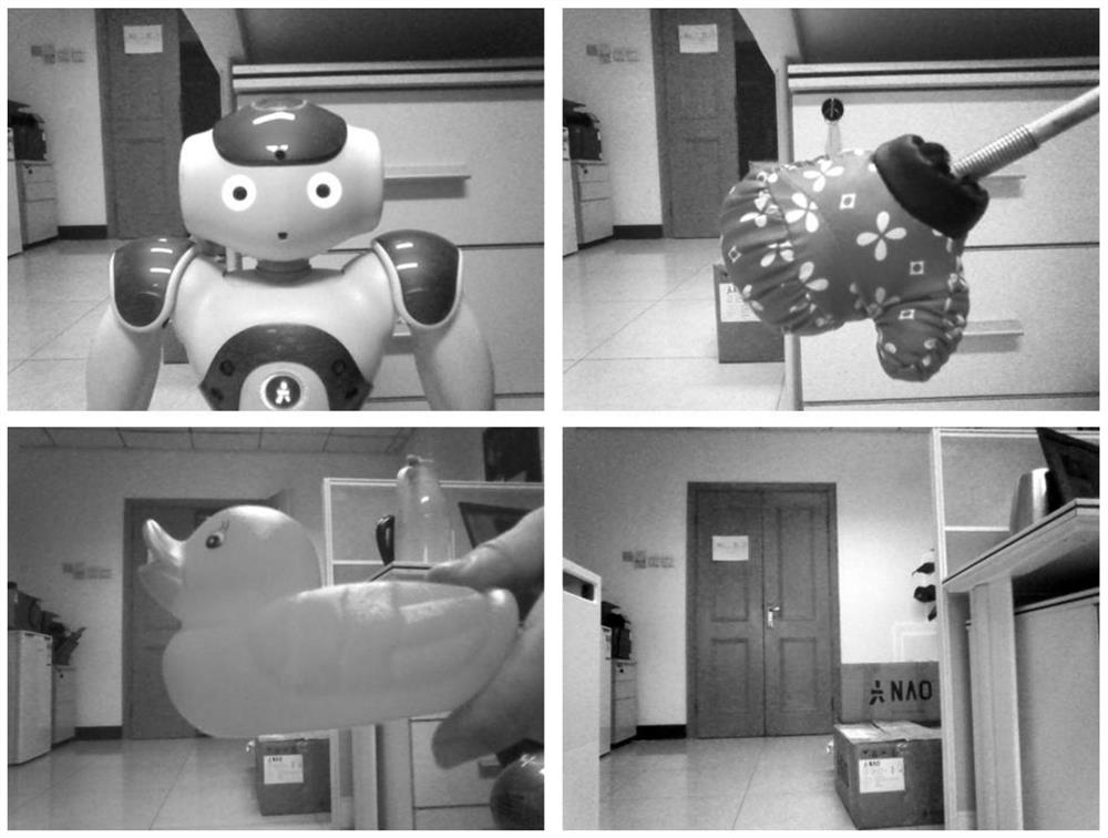 Robot control method and system based on multi-brain region cooperative conditioned reflex model