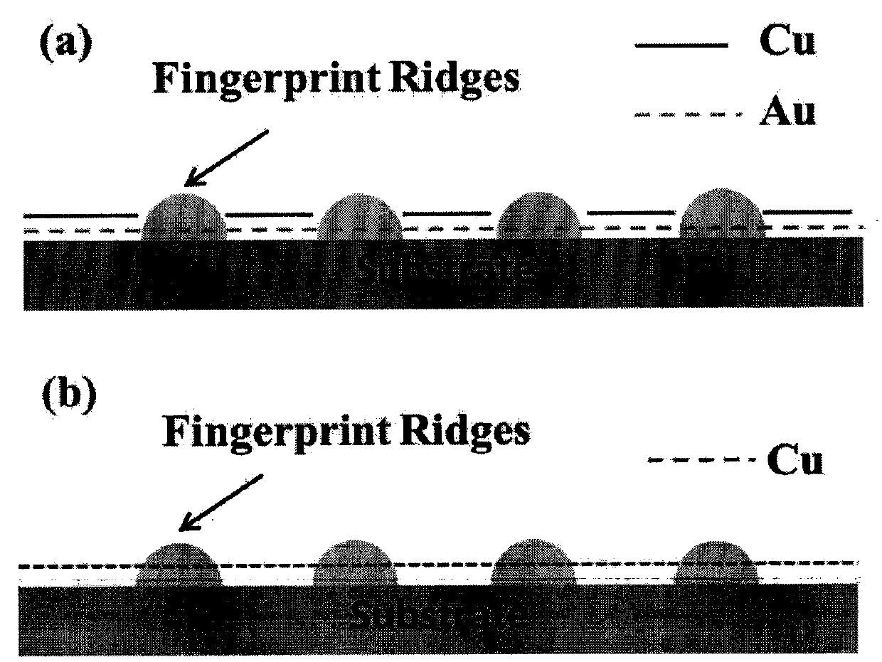 Novel latent fingerprint displaying method